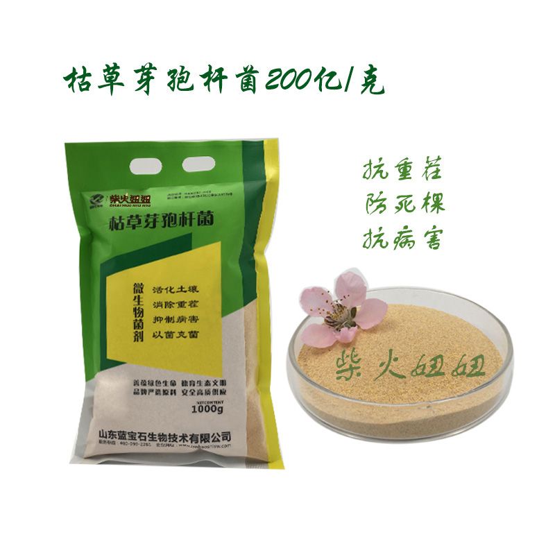 枯草芽孢桿菌